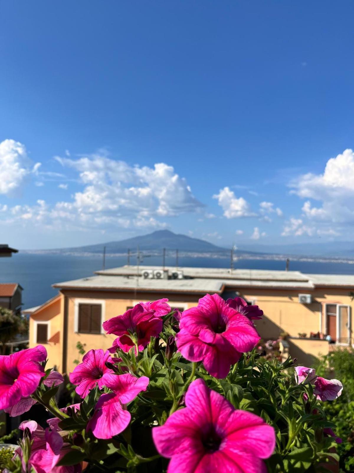 Elisabeth Seaview Apartments Sorrento Coast Вико-Экуенсе Экстерьер фото